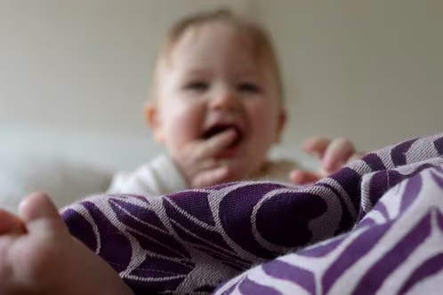 Artipoppe Argus Janus