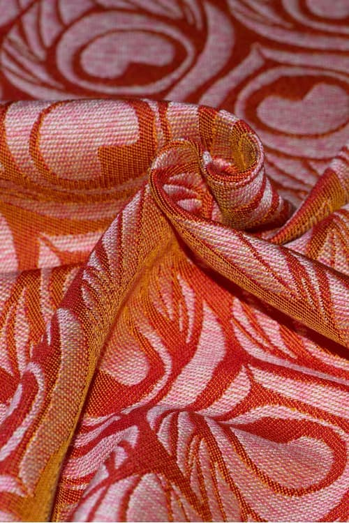 Artipoppe Argus Australis