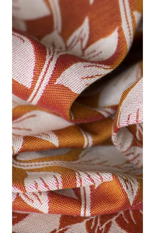 Artipoppe Argus Philip