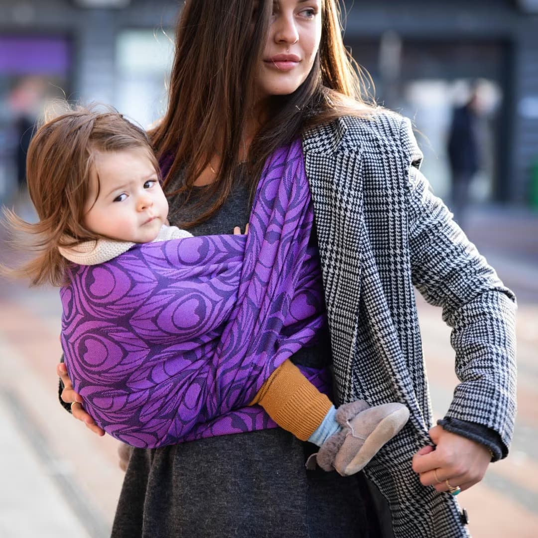 Artipoppe Argus Nobility