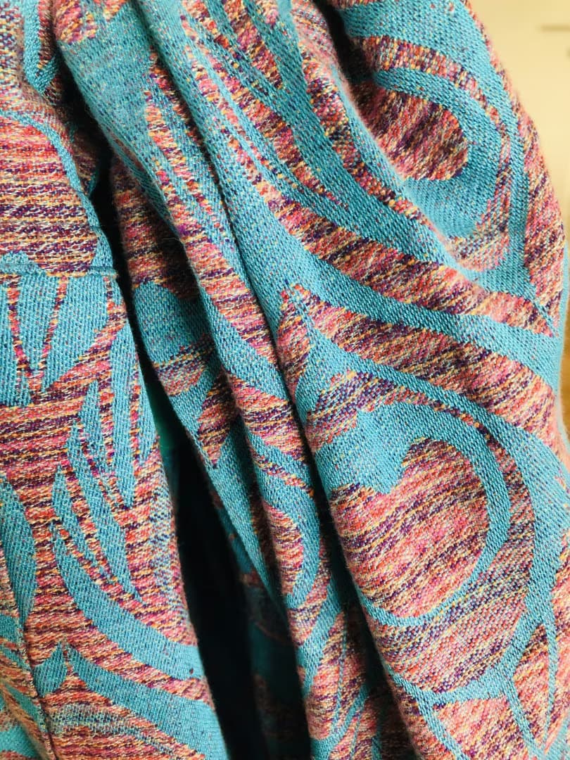 Artipoppe Argus Futsatsu